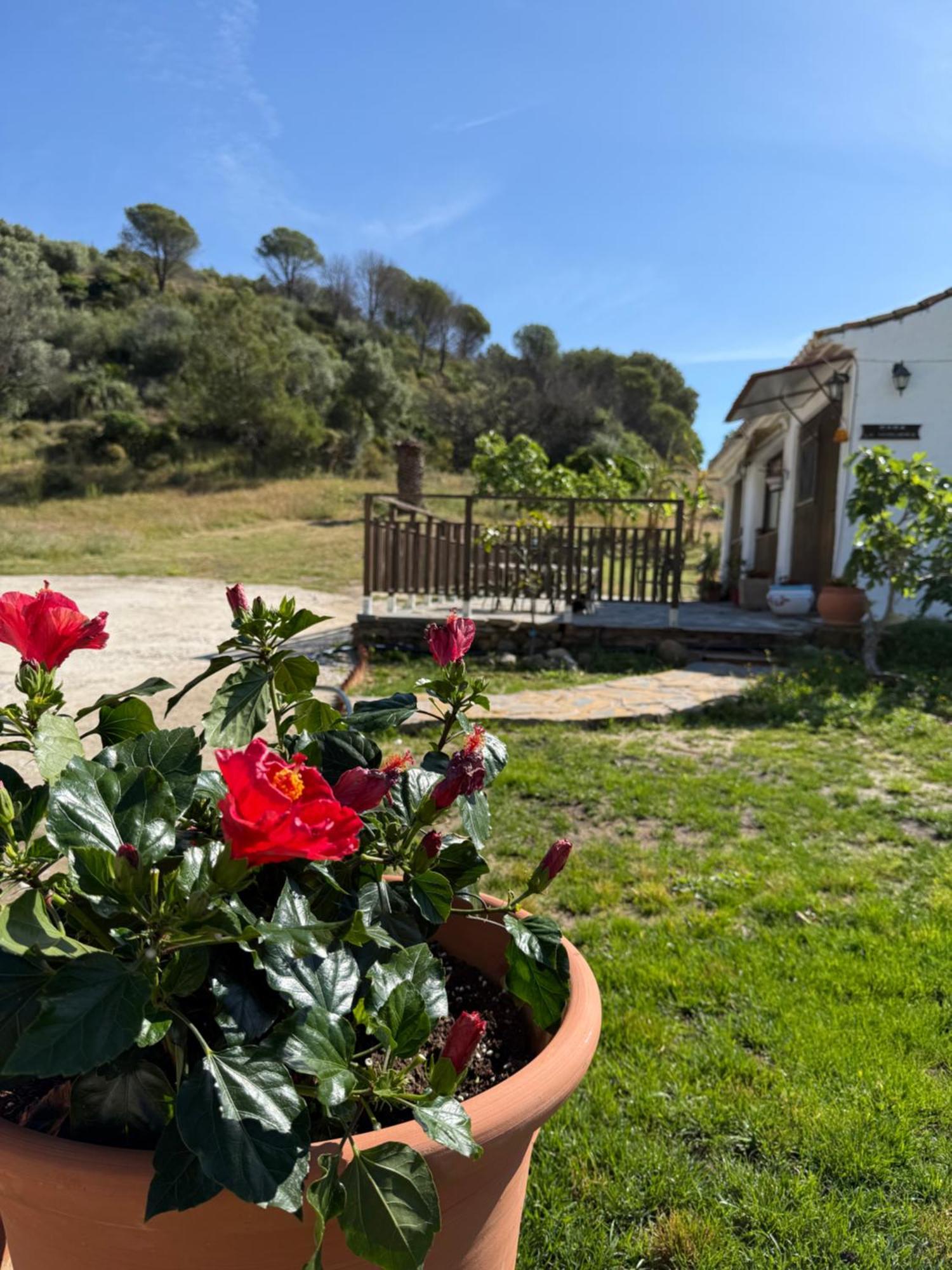 Santa Teresa, Casa Granada Ferienpark Estepona